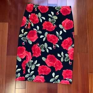 NYCC skirt.  Perfect for work!